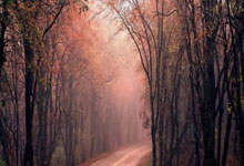 實驗室小型噴霧干燥(實驗室小型噴霧干燥設備)