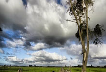 離心<b style='color:red'>噴霧干燥機(jī)</b>生產(chǎn)商(離心閉式<b style='color:red'>噴霧干燥機(jī)</b>)